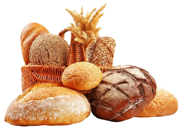 Gemini_Generated_Image_q6hv5cq6hv5cq6hv-removebg-preview